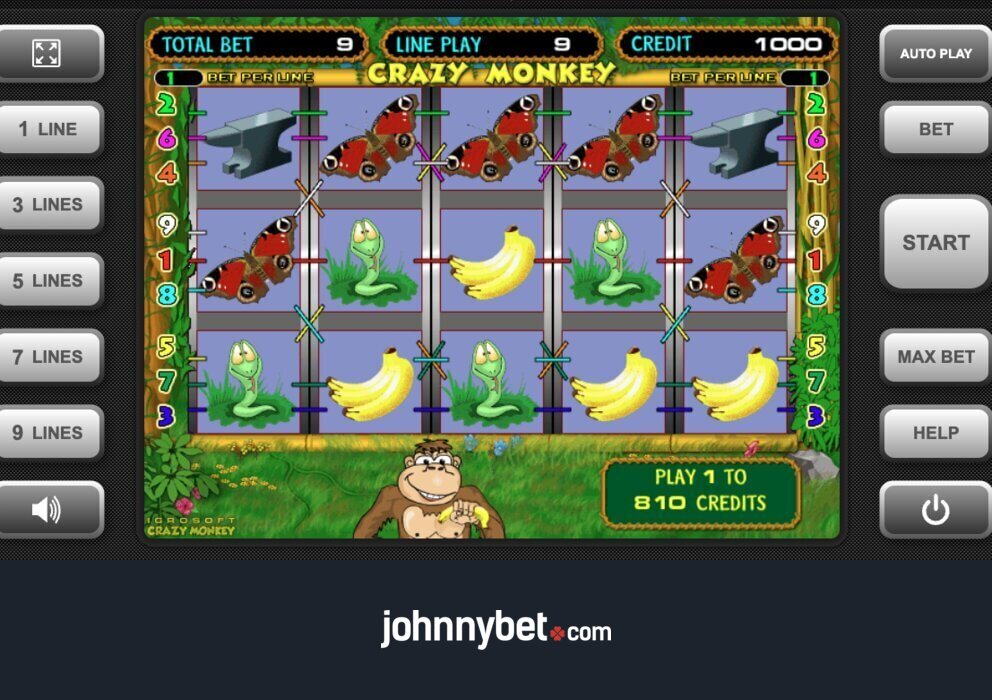 Игровые автоматы Обезьянки играть бесплатно