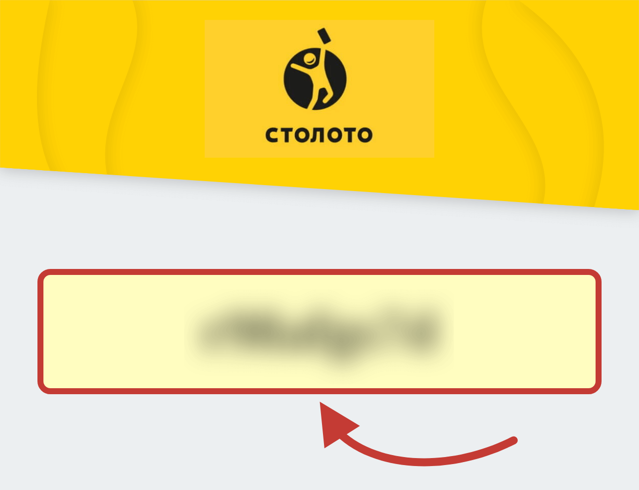 Лотерея Новогодний Миллиард