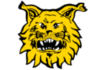 Ilves