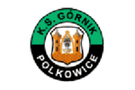 Gornik Polkowice