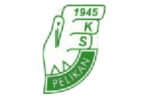 Pelikan Lowicz