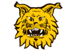 Ilves II