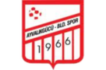Ayvalikgucu Belediyespor