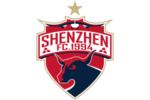 Shenzhen 2028 FC