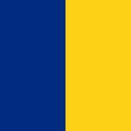 DorelPitesti